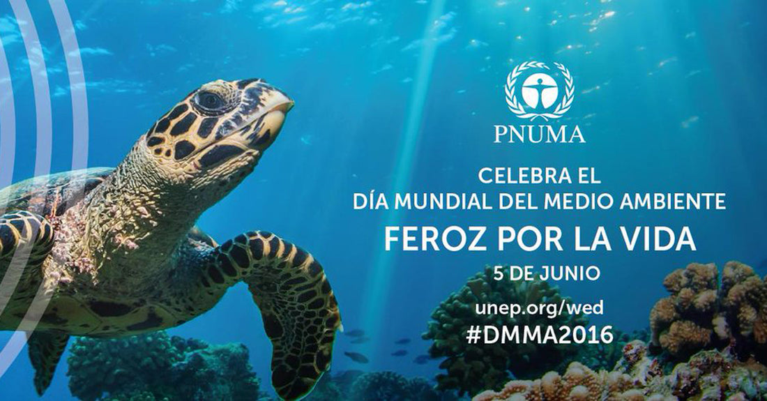 Día Mundial del Medio Ambiente