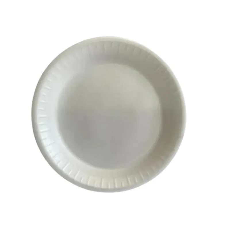 Plato Térmico Reyma #6 Pastelero | Bolsa con 25 piezas | Desechable color blanco